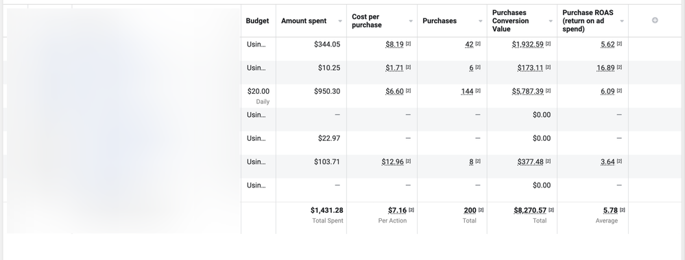 Meta Ads ROAS results